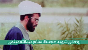 شهید میثمی